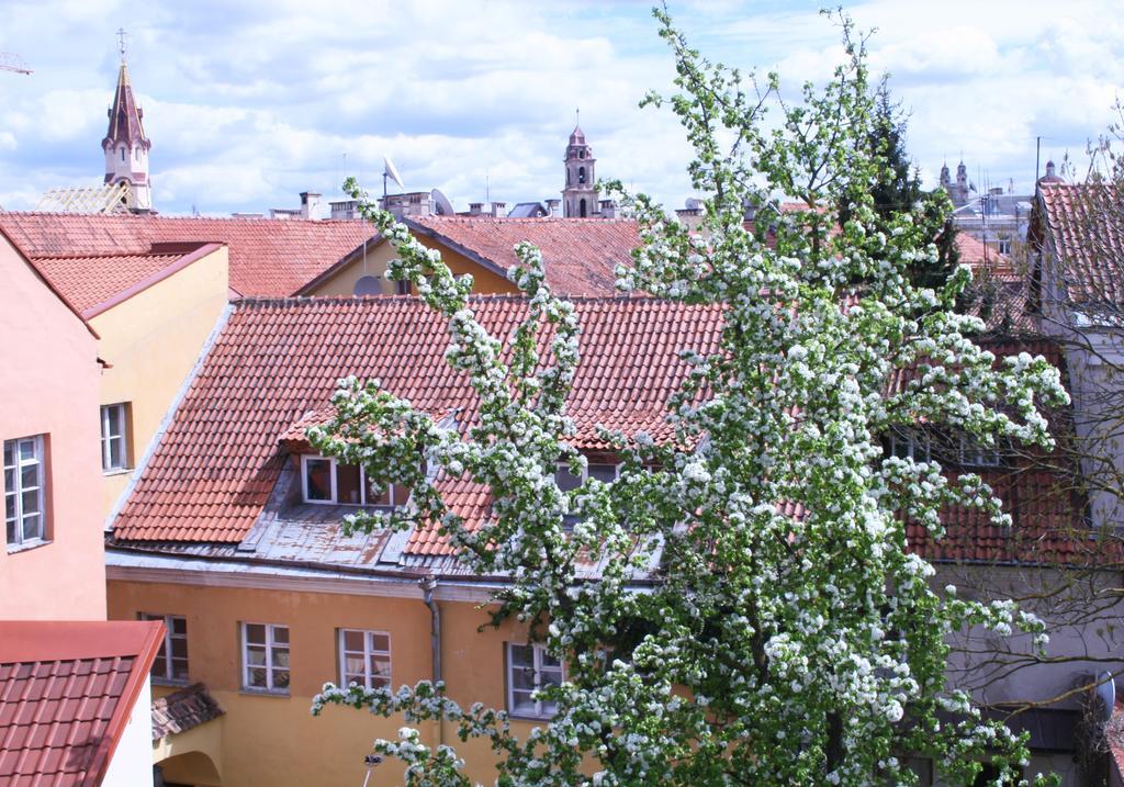 Old Town Apartment Antokolskio VNO Exteriör bild